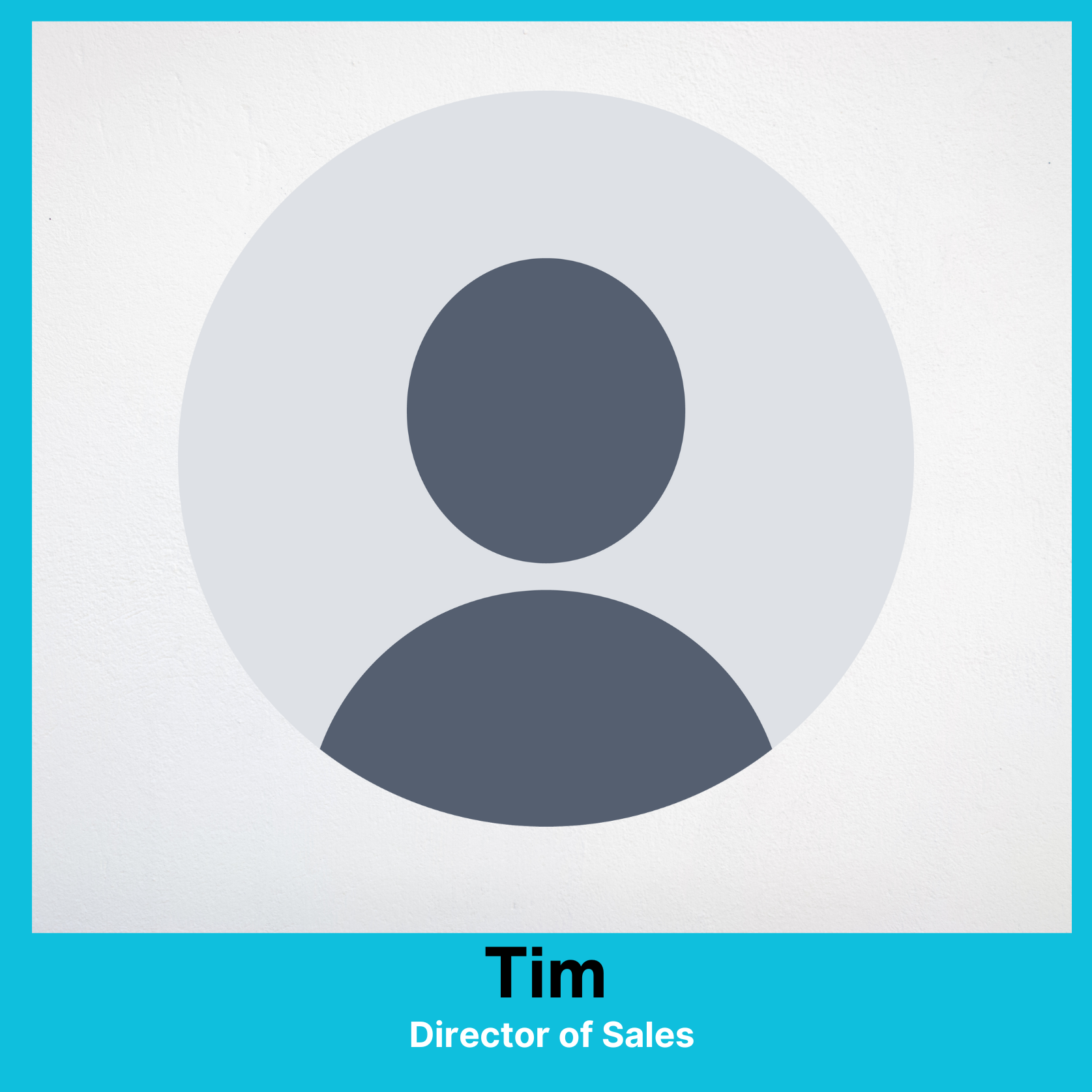 D squared employee template